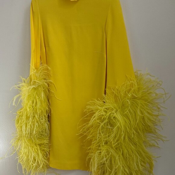 Taller Mamo Canary Yellow Dress w/ Feather Sleeves - Picture 2 of 10